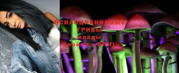 бошки Сосновый Бор
