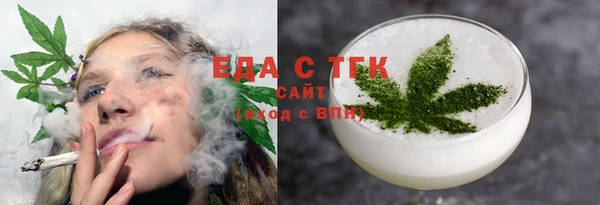 гидра Вязьма