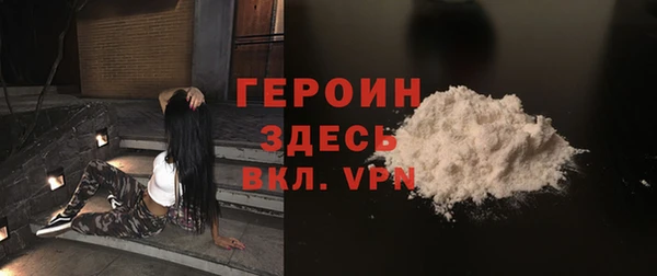 гидра Вязьма