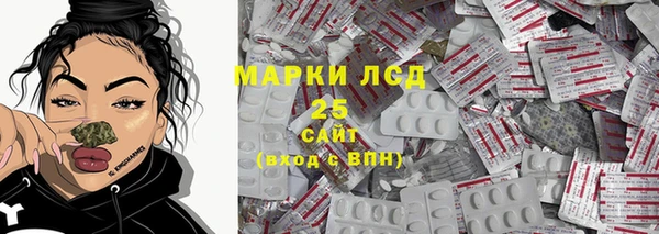 PSILOCYBIN Вяземский