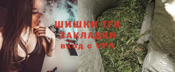 гидра Вязьма