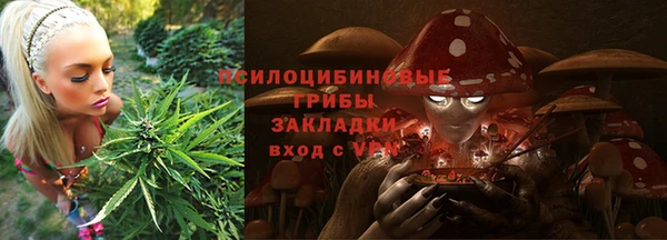 гидра Вязьма