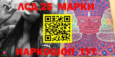 шишки Ставрополь