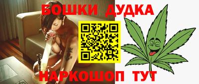 шишки Ставрополь