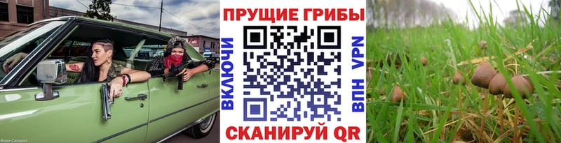 shop состав  МЕГА рабочий сайт  Снежинск  Галлюциногенные грибы ЛСД 