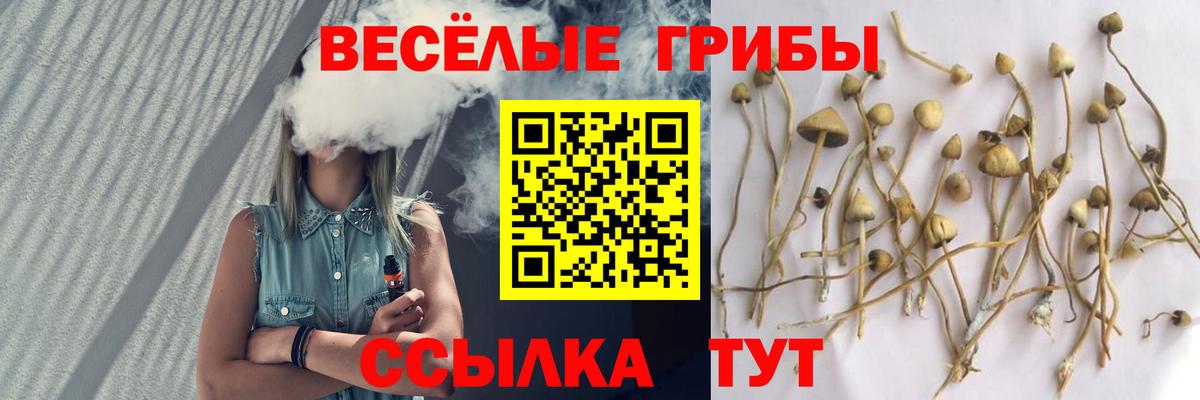 Галлюциногенные грибы ЛСД  Псилоцибиновые грибы Psilocybine cubensis  Снежинск  Вход с VPN 